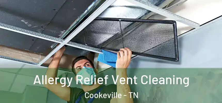  Allergy Relief Vent Cleaning Cookeville - TN