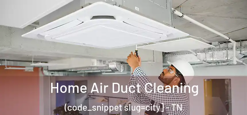  Home Air Duct Cleaning (code_snippet slug=city] - TN