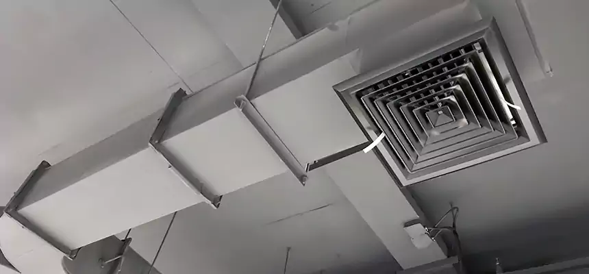 Restorative Allergy Relief Vent Cleaning – Coil, Blower & Housing Detail in Cookeville