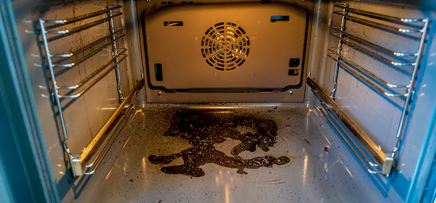 Our Dryer Vent Mold Cleaning Services in Cookeville, TN