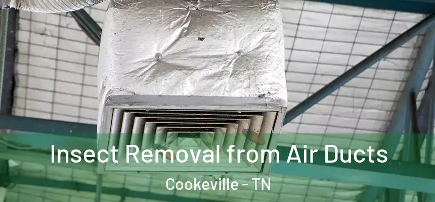 Insect Removal from Air Ducts Cookeville - TN