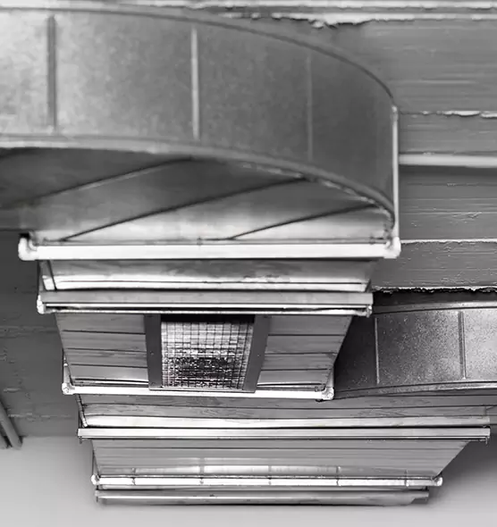 Professional Air Duct Pet Hair Removal in Cookeville, TN