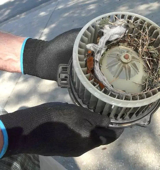 About Air Duct Rat Removal in Cookeville, TN