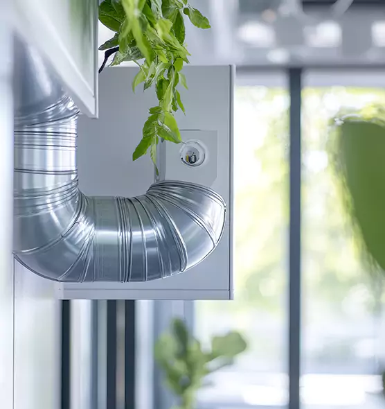 Professional Eco-Friendly Duct Cleaning Services in Cookeville, TN