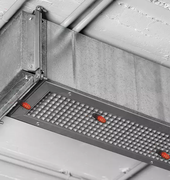 Affordable Insect Removal from Air Ducts in Cookeville, TN