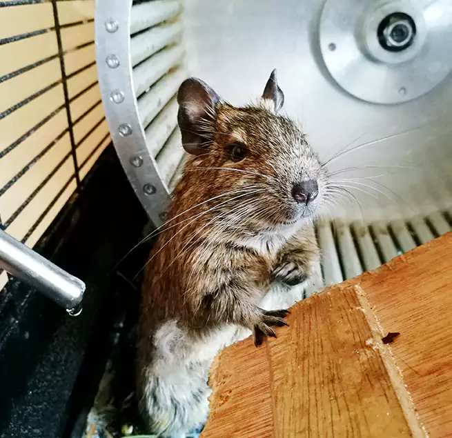 Why Homeowners & Businesses Trust Us Cookeville, TN?