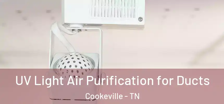  UV Light Air Purification for Ducts Cookeville - TN